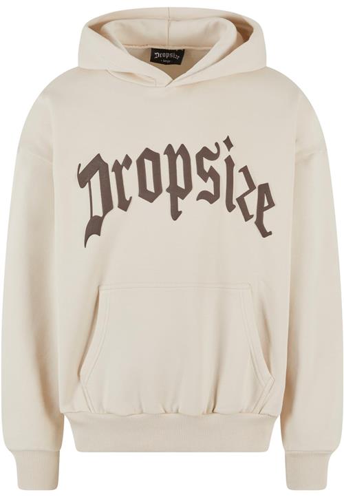 Dropsize Sweatshirt  beige / brun