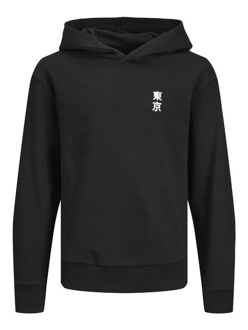 Jack & Jones Junior Pullover  sort