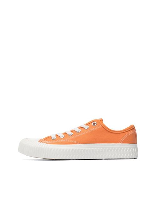 Bianco Sneaker low  orange