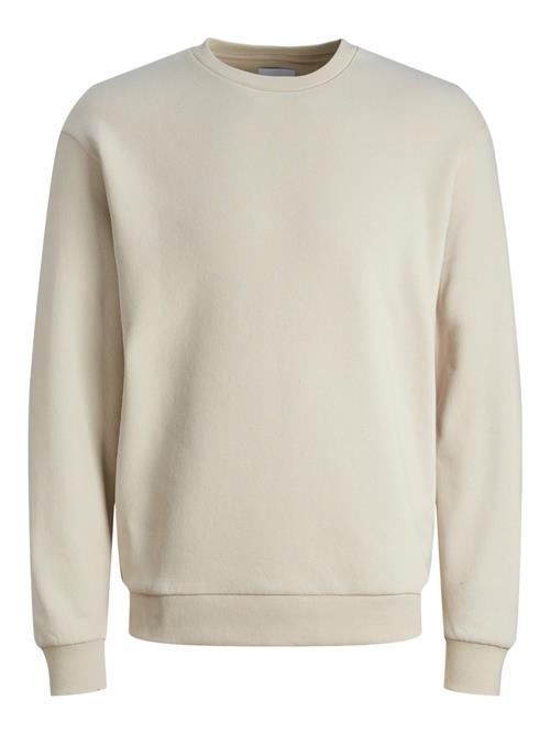 Jack & Jones Junior Sweatshirt 'JJEBradley'  kit