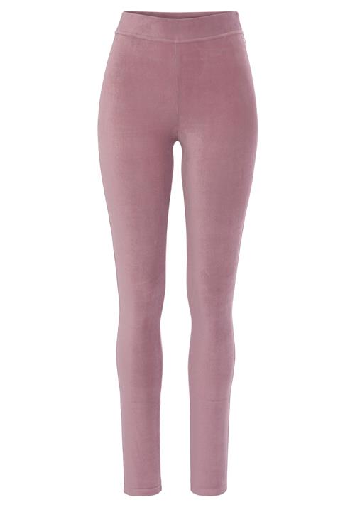 Se LASCANA Leggings  lilla / pink ved About You