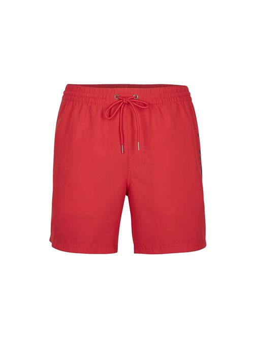 O'NEILL Boardshorts 'Cali'  rød