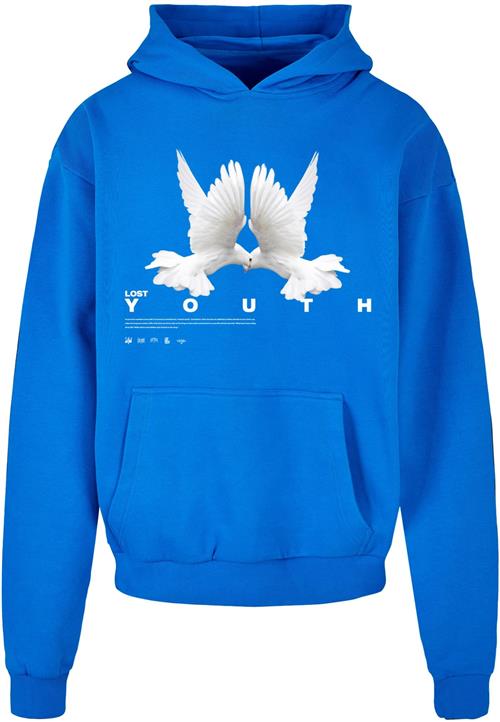 Lost Youth Sweatshirt 'Dove'  koboltblåt / grå / hvid