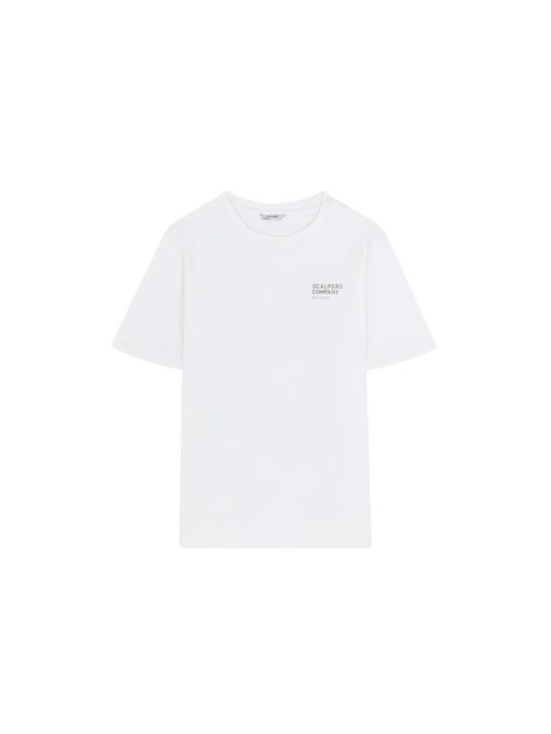 Se Scalpers Bluser & t-shirts 'New Stroke'  royalblå / grå / offwhite ved About You