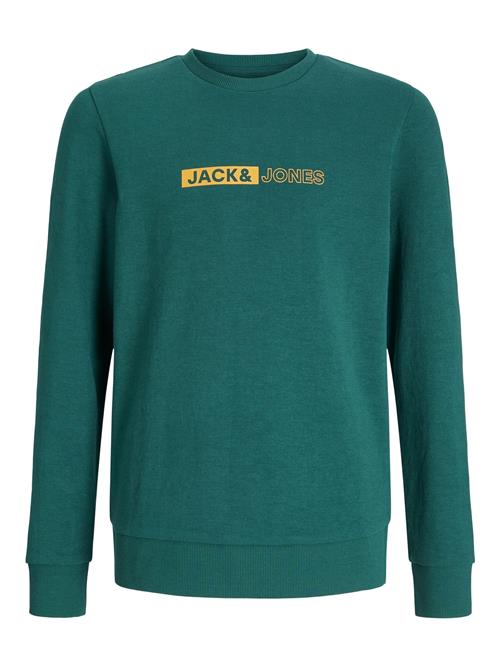 Jack & Jones Junior Sweatshirt  mørkegul / mørkegrøn