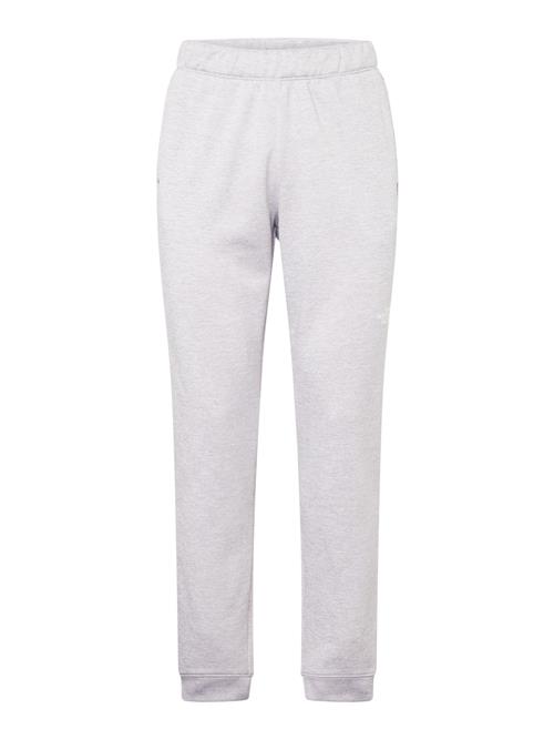 Se THE NORTH FACE Udendørsbukser 'Reaxion Fleece Joggers'  lysegrå / hvid ved About You