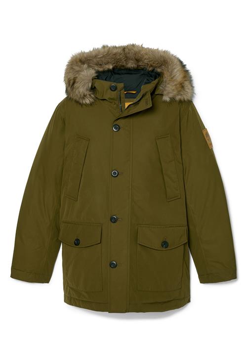 TIMBERLAND Overgangsparka  brun / oliven