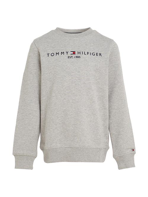 TOMMY HILFIGER Sweatshirt  natblå / grå-meleret / rød / hvid