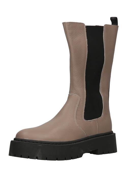 STEVE MADDEN Chelsea Boots 'Vivianne'  greige / sort