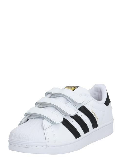 ADIDAS ORIGINALS Sneakers 'Superstar'  sort / hvid