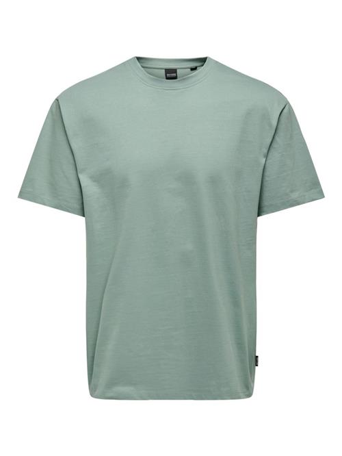 Se Only & Sons Bluser & t-shirts 'Fred'  jade ved About You