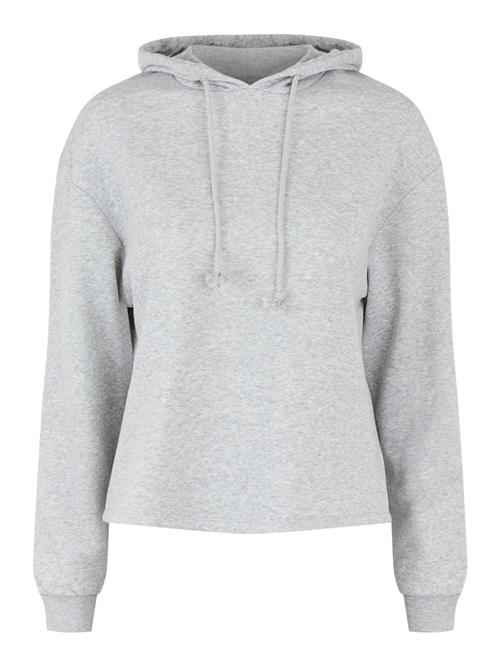 PIECES Sweatshirt 'PCChilli'  lysegrå