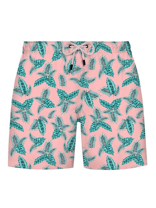 WESTMARK LONDON Badeshorts  blå / pink