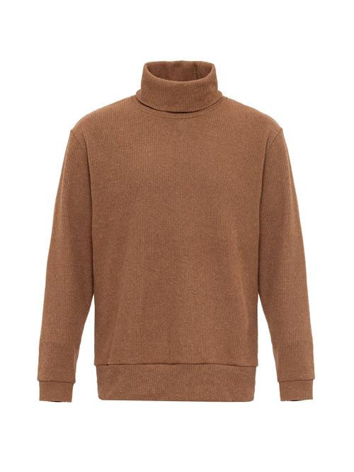 Antioch Pullover  brun