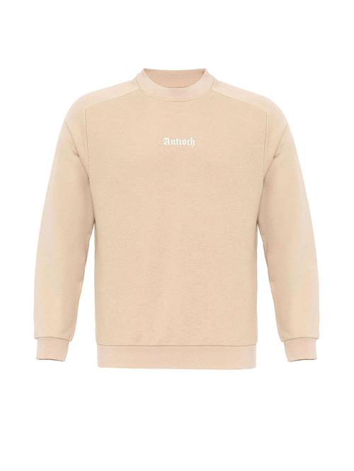 Se Antioch Sweatshirt  nude / hvid ved About You