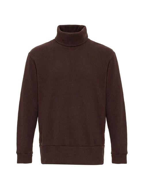 Se Antioch Pullover  mørkebrun ved About You