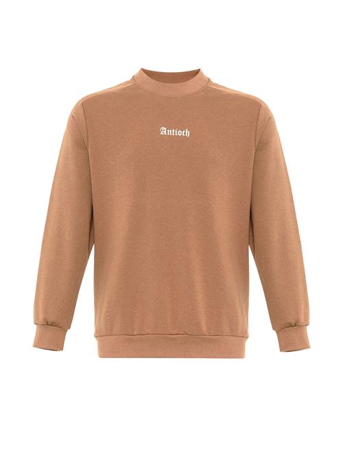 Antioch Sweatshirt  beige / hvid