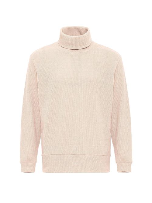 Se Antioch Pullover  beige ved About You