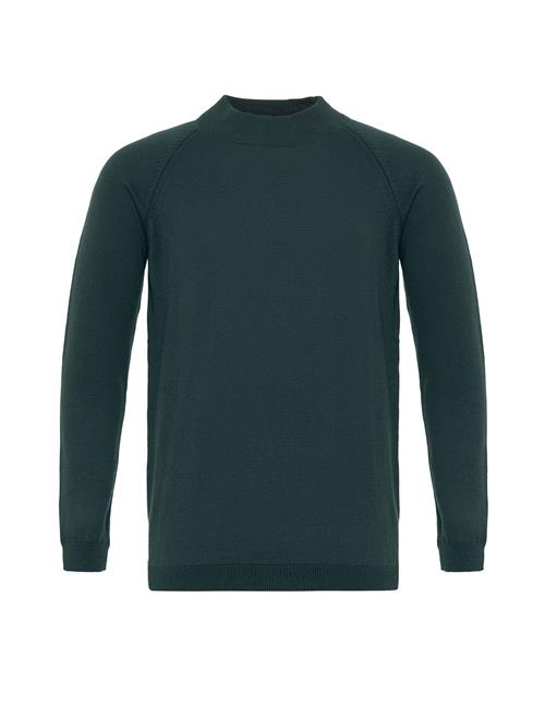 Dandalo Pullover  smaragd