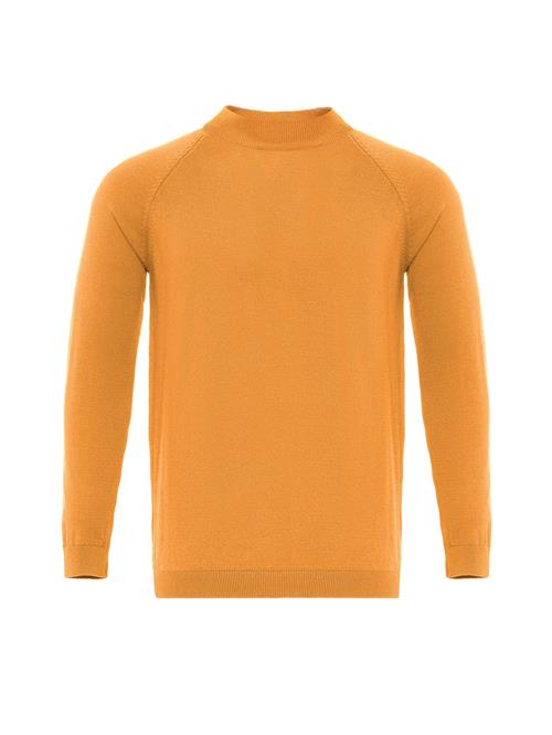 Dandalo Pullover  orange