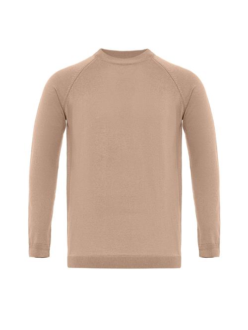 Se Dandalo Pullover  beige ved About You