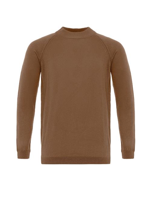 Dandalo Pullover  brun