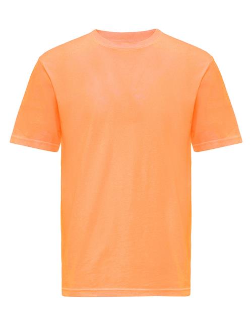 Se Antioch Bluser & t-shirts  orange ved About You