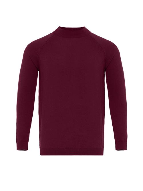 Dandalo Pullover  bordeaux