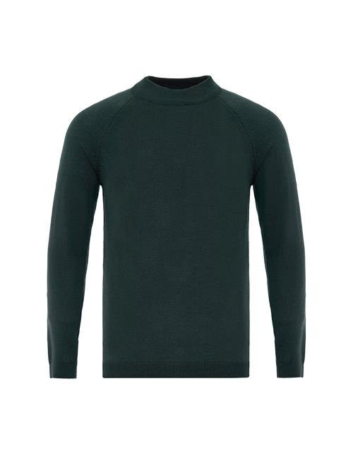 Se Antioch Pullover  grøn ved About You