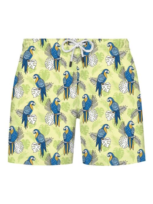 WESTMARK LONDON Badeshorts  blå / kiwi / pastelgrøn / hvid