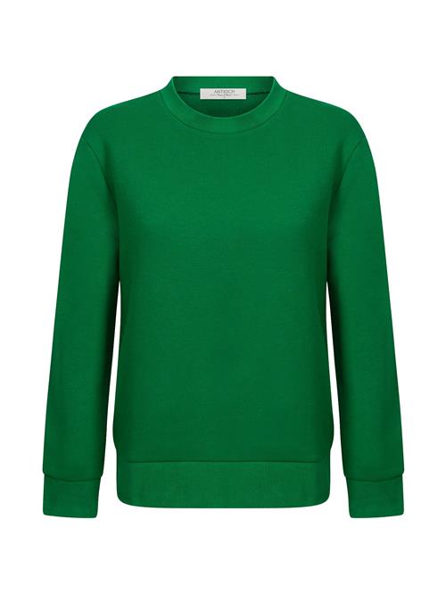 Antioch Sweatshirt  grøn / sort / hvid