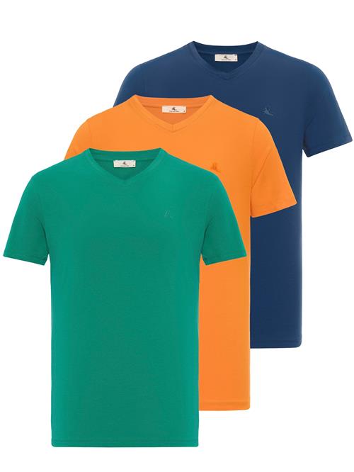 Se Daniel Hills Bluser & t-shirts  blå / grøn / orange ved About You