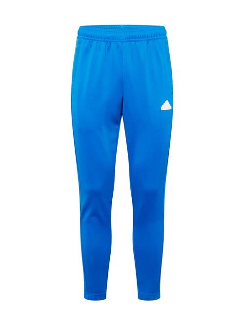 ADIDAS SPORTSWEAR Sportsbukser 'House of Tiro Nations'  azur / grøn / rød / hvid