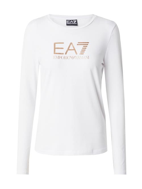 EA7 Emporio Armani Shirts  guld / hvid