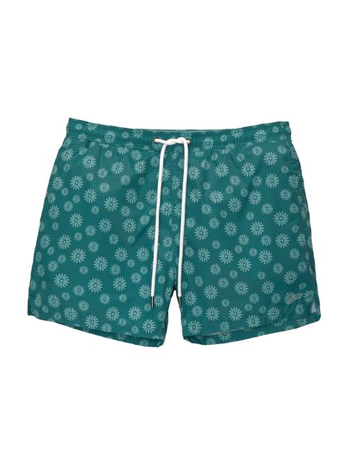 Pull&Bear Badeshorts  turkis / petroleum