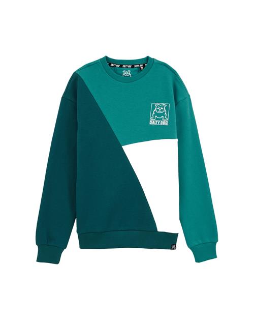 Se WE Fashion Sweatshirt  grøn / hvid ved About You