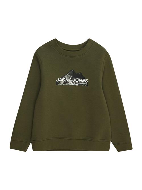 Jack & Jones Junior Sweatshirt  grøn / sort / hvid