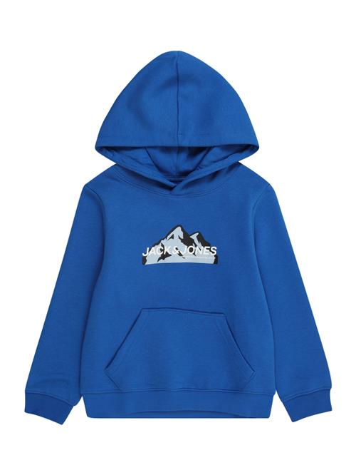 Jack & Jones Junior Sweatshirt  blå / himmelblå / sort / hvid