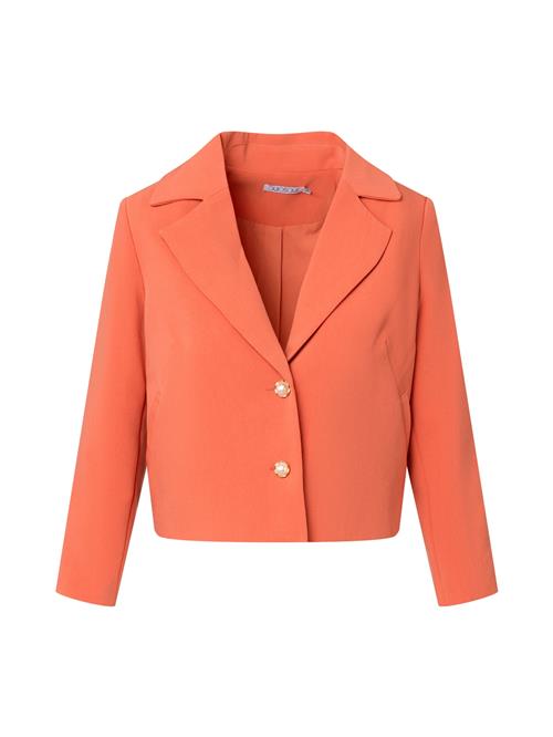 Quiosque Blazer  orange