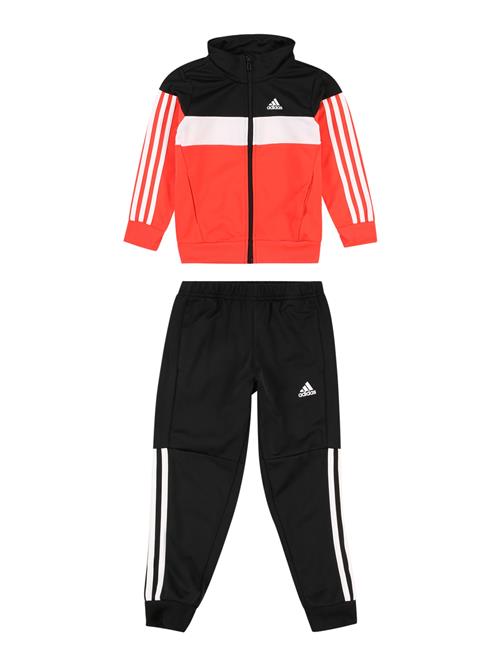 ADIDAS SPORTSWEAR Træningsdragt 'Tiberio'  rød / sort / hvid