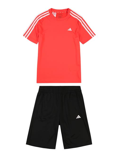 ADIDAS SPORTSWEAR Træningsdragt  orangerød / sort / hvid