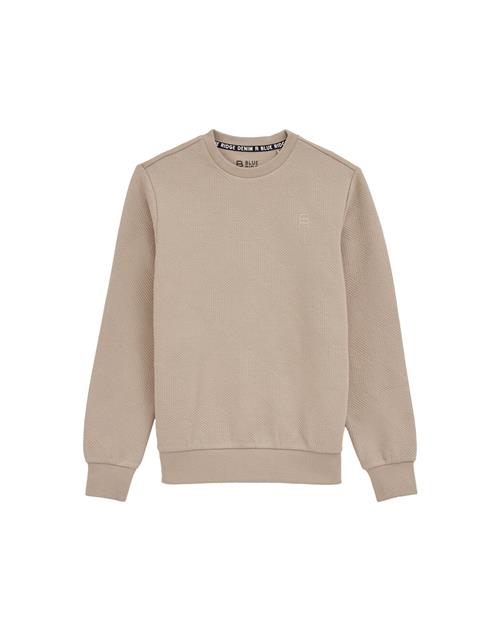 Se WE Fashion Sweatshirt  beige ved About You