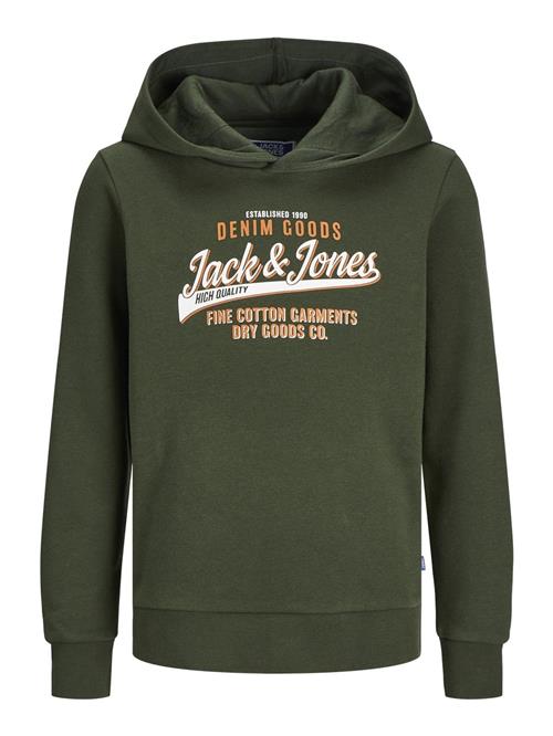 Jack & Jones Junior Sweatshirt  grøn / orange / hvid