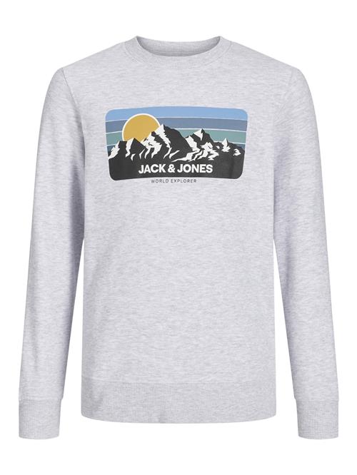 Se Jack & Jones Junior Sweatshirt  lysegrå / grå-meleret / blandingsfarvet ved About You