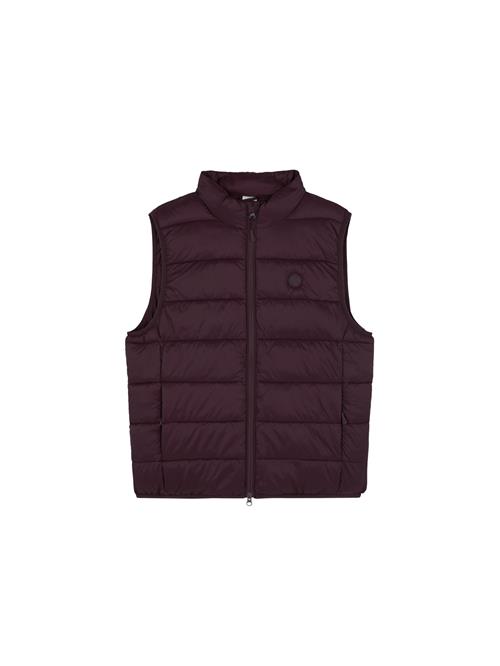 Scalpers Vest  bordeaux