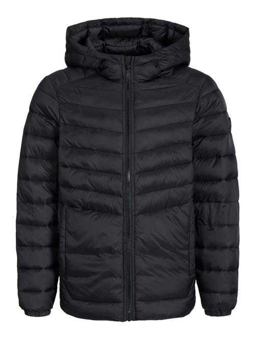 Jack & Jones Junior Vinterjakke 'JJESprint'  sort