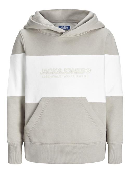 Jack & Jones Junior Sweatshirt  sølvgrå / stone / offwhite