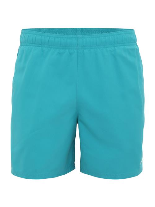 Nike Swim Sportsbadebukser 'ESSENTIAL'  jade