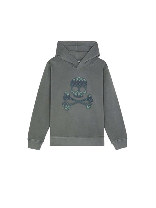 Scalpers Sweatshirt 'Kilim Skull'  grå / pastelgrøn / mørkegrøn