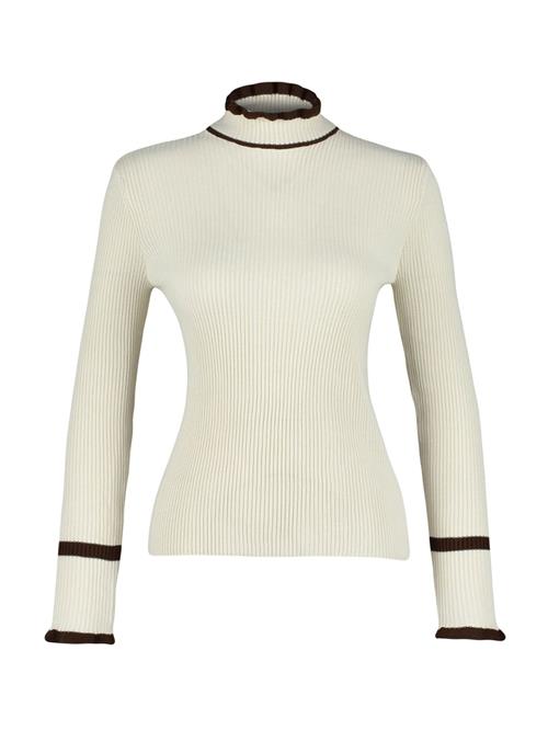 Trendyol Pullover  brun / greige